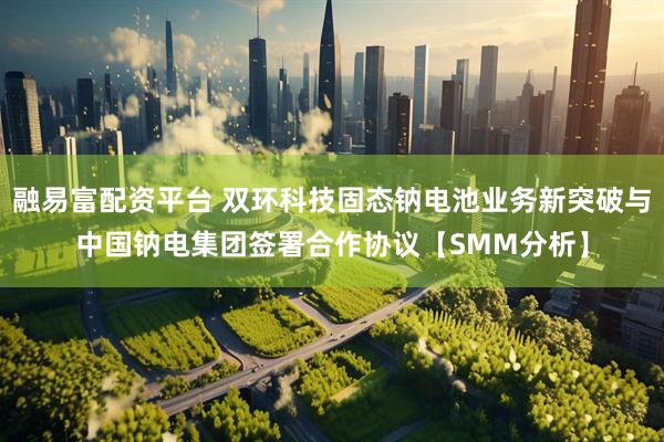融易富配资平台 双环科技固态钠电池业务新突破与中国钠电集团签署合作协议【SMM分析】