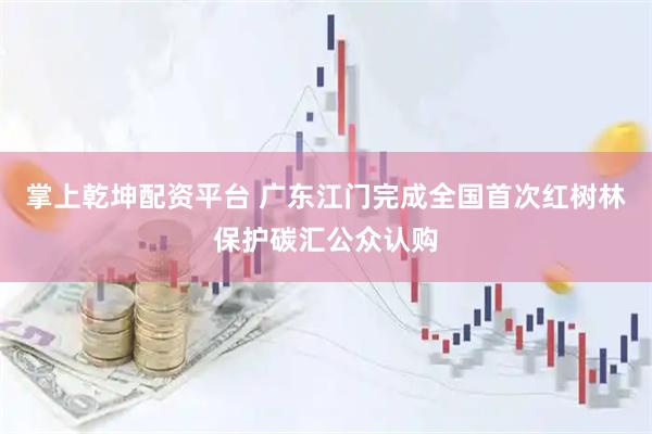 掌上乾坤配资平台 广东江门完成全国首次红树林保护碳汇公众认购