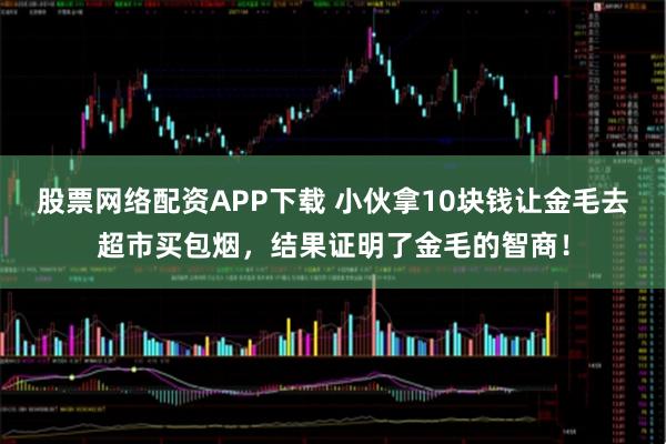 股票网络配资APP下载 小伙拿10块钱让金毛去超市买包烟，结果证明了金毛的智商！