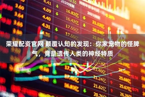 荣耀配资官网 颠覆认知的发现：你家宠物的怪脾气，竟是遗传人类的神经特质