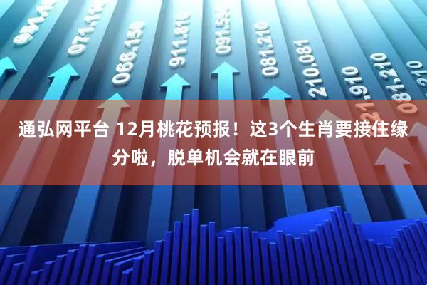 通弘网平台 12月桃花预报！这3个生肖要接住缘分啦，脱单机会就在眼前