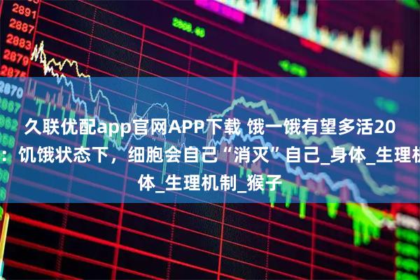 久联优配app官网APP下载 饿一饿有望多活20年？研究：饥饿状态下，细胞会自己“消灭”自己_身体_生理机制_猴子