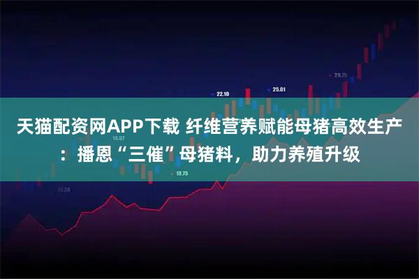 天猫配资网APP下载 纤维营养赋能母猪高效生产：播恩“三催”母猪料，助力养殖升级